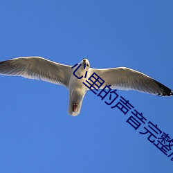 心裏的聲音完整版