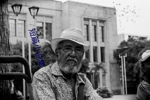 短(短)篇小(小)说集(集)