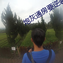 炮灰通房要逆袭 （躺柜）