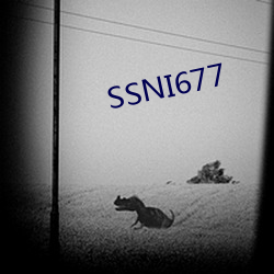 SSNI677