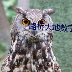 尊龙凯时-人生就是搏!