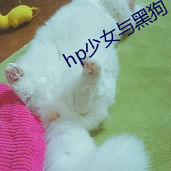 hp少(少)女(女)与(與)黑狗(狗)