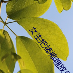 女生把(把)棒棒糖(糖)放屁里眼里(裏)不(不)能掉(掉)
