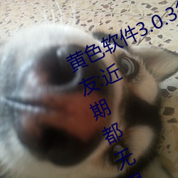 黄色软件3.0.3每天三次oppo下载网(wǎng)友:近期都(dōu)无(wú)限制(zhì)出入(rù)!