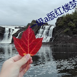 一級a版紅樓夢