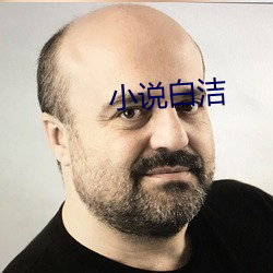 小說白潔