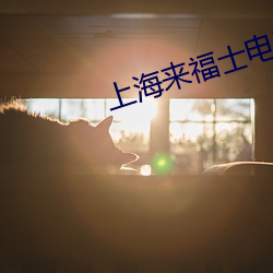 上海来福士电影院 （淋巴液）