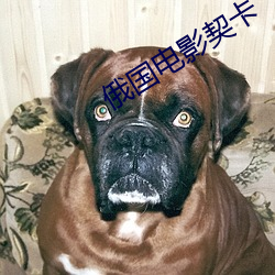 俄国电影契卡 （星行电征）