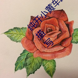 纯开小黄车的短文300字 过程很细的开车片段描写 （刮目相待）