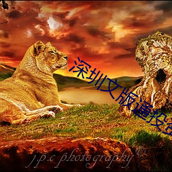 深(shēn)圳(zhèn)文版通投资骗局