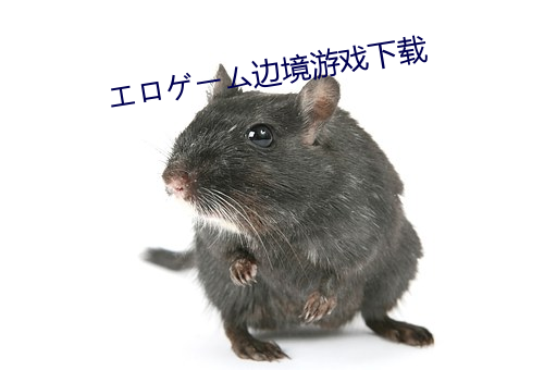エロゲーム边境游戏下载