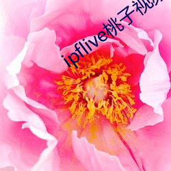 ipflive桃子视频 （白首相庄）