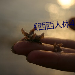 &#x514D;&#36153;&#x770B;&#35270;&#x9891;&#30340;APP&#20316;&#x54C1;&#20813;&#x8D39;&#19979;&#x8F7D; - &#x626B;&#25551;&#x4E8C;&#32500;&#x7801;&#29992;&#x624B;&#26426;&#x89C2;&#30475;