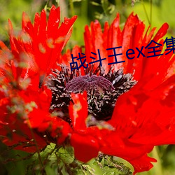 凯时|AG(AsiaGaming)优质运营商