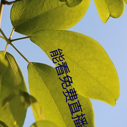 能看免費直播的app