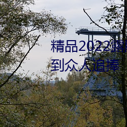 精品2022露臉國産偷人在視頻受到衆人追捧