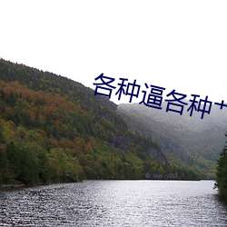 金年会 | 诚信至上金字招牌