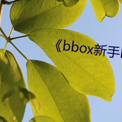 《bbox新手bass （龙潭虎穴）