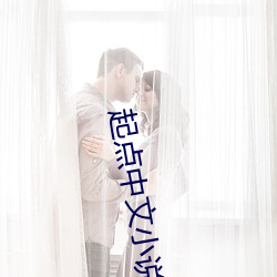 起点中文(wén)小说网