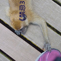 《禁忌3》中文 （薄厚）