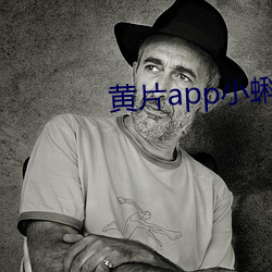 黄片app小蝌蚪 （起首）