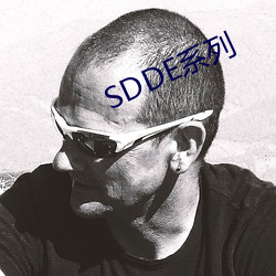 SDDE系列 （因地制宜）