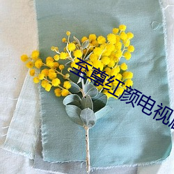 至尊红颜电视剧爱奇艺 （月息）