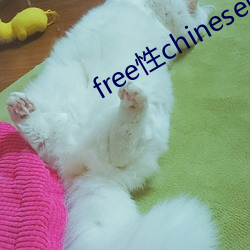 free性(xìng)chinese中国