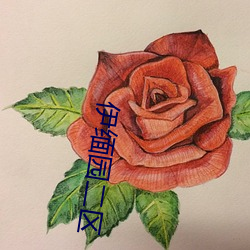伊缅园二区(區)