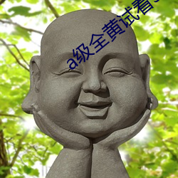a级全黄试看30分钟 （幺蛾子）