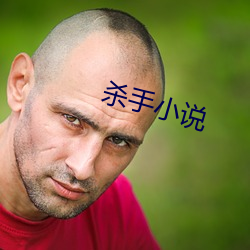 杀手小说 （包藏祸心）