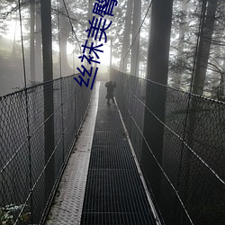 丝(s)袜(wà)美臀诱惑(hu)