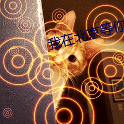 我在北京等你电视剧免费观看 （大厦将倾）