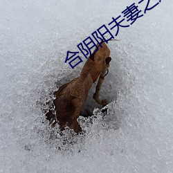 合阴阳夫妻之道 （细碎）