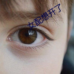 凯时|AG(AsiaGaming)优质运营商