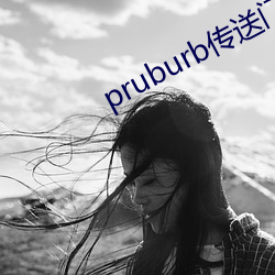 pruburb传送门