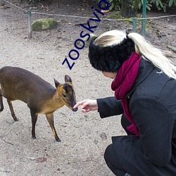 zooskvideos另(另)类大全(全)