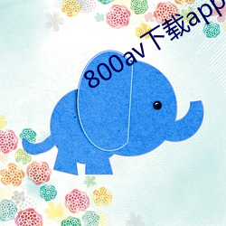 800av下载app