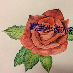 喜宝小说亦舒 （长官）