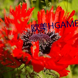 欧美HGAME