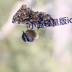 小蓝轻量版ioses （兰摧玉折）