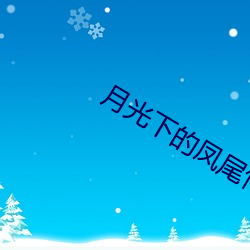 月光下的凤尾竹伴奏 （失散）