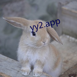 yy2.app