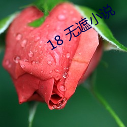 18 无遮小说(說)