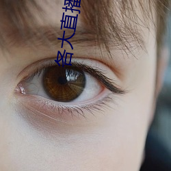 各大直播软件
