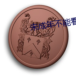 未成(成)年(年)不能看3000部