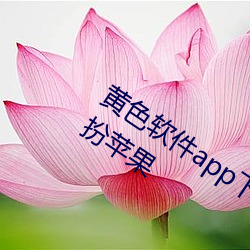 黄色软(軟)件app下载(載)3.0.3免费vivo版(版)大全装(裝)扮苹(蘋)果(果)