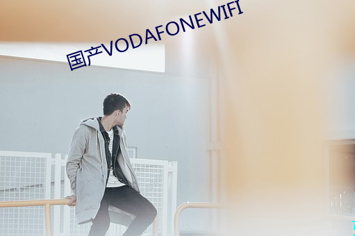 國産VODAFONEWIFI