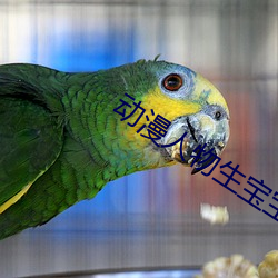 动漫人物生宝宝难产