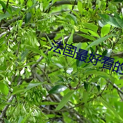 金年会 | 诚信至上金字招牌